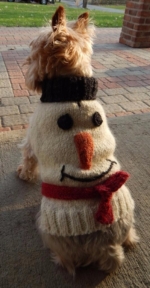 Title D001 Snow Man Doggie Sweater