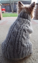 D004 Cable Knit Doggie Sweater