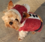 D001 Santa Doggie Sweater