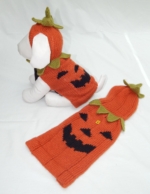D004 Pumpkin Sweater